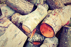 Trabrown wood burning boiler costs